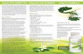 Greens First GREEN TEA enhanced with MORINGA VITALITY …€¦ · Greens First Green Tea Vitality Formula enhanced with Moringa is a Green Tea Leaf extract plus the traditional whole