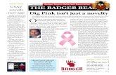 Volume 3, Issue 6SIDE Badger Region Volleyball Association ...badgervolleyball.org/wp-content/uploads/2016/11/Vol-3-Issue-6.pdf · shoe laces, pink jerseys, pink towels, head-bands,