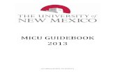 2013 MICU Guidebook · Introduction!! 5! DAILYCHECKLIST+ √Reviewdailylabs,replaceelectrolytes(checktoseeifalreadydoneovernight) ! √InterpretdailyCXR(don’twaitforradiologyread!)