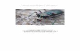 Miami tiger beetle emergency petition · 2020. 1. 23. · Emergency Petition to List the Miami Tiger Beetle, Submitted December 11, 2014 ‐3‐ Petitioners: The Center for Biological