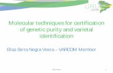 Molecular techniques for certification of genetic purity and … · 2015. 7. 9. · Molecular techniques for certification of genetic purity and varietal identification . Elisa Serra
