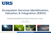 Ecosystem Services Identification, Valuation & Integration ... · Valuation & Integration (ESIVI) ... management control or significant influence. PS7: Indigenous Peoples Assess provisioning