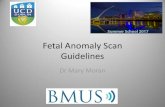 Fetal Anomaly Scan Guidelines - BMUS · •AIUM (2013). AIUM Practice Parameter for the Performance of Obstetric Ultrasound Examinations. •ASUM (2014). Guidelines for The Mid-Trimester