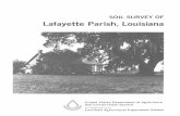 Soil Survey of Lafayette Parish, Louisiana...USDA, Soil Conservation Service Subject: soil Keywords: Soil Survey Lafayette Parish Louisiana Created Date: 9/11/2007 8:57:09 AM ...