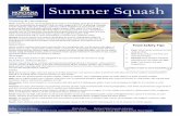 Summer Squash - Montana State University · To enhance ﬂavor, experiment with low ‐sodium seasonings such as allspice, basil, cumin, curry powder, dill, oregano, rosemary, sage,
