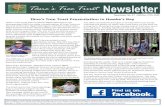 Tāne’s Tree Trust Presentation in Hawke’s ay · planting trials at Te Hiku/Aupouri Forest, Kawhia and Opoutere. Initial planting of trial sites will begin in autumn 2019. The