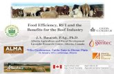 Feed Efficiency, RFI and the Benefits for the Beef IndustryDepartment/deptdocs.nsf/all/lr...Feed Efficiency, RFI and the Benefits for the Beef Industry J.A. Basarab, P.Ag., Ph.D. Alberta