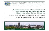 Division of Homeland Security and Emergency Services ... · The Division of Homeland Security and Emergency Services (Division) oversees and directs the development, coordination,