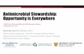 Antimicrobial Stewardship: Opportunity is Everywhere · antimicrobial therapy… to achieve the best patient outcomes, reduce the risk of infections, reduce or stabilize levels of