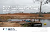 Water-Energy-Food Security and Mining in Suriname · Suriname is located within a central part of the Guiana shield and is composed primarily (80 per cent) of Precambrian, Cretaceous