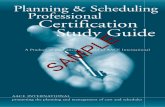 Planning and Scheduling Professional (PSP) Certification ... · PSP applicants of subjects that the exam tests, poses representative questions and problems, and lists useful references