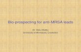 Bio-prospecting for anti-MRSA leadsnaturalproducts.crk.umn.edu/.../bio-prospecting_for_antimrsa_compo… · Bio-prospecting for anti-MRSA leads Dr. Venu Mukku University of Minnesota,