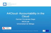 A4Cloud- Accountability in the Cloud...(GAPP) This project is partly funded from the European Commission’s Seventh Framework Programme (FP7/2007-2013) under grant agreement no: 317550
