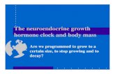 The neuroendocrine growth hormone clock and body masskcourses/f99/mvs443/Programmedgrowth/Progra… · The neuroendocrine growth hormone clock and body mass Are we programmed to grow