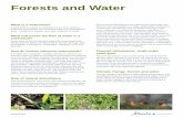 Forests and Water - Alberta.cadepartment/deptdocs... · Climate change, forests and water Climate change is predicted to affect global temperatures and precipitation patterns. Forest