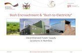 Bush Encroachment & “Bush-to-Electricity” · 08/03/2016 Page 2 Background • Bush encroachment affects 30 million ha, reducing rangeland productivity by 2/3; impact on ground-