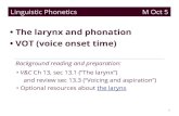 The larynx and phonation • VOT (voice onset time)jlsmith/ling520/outlines/1005_voicing... · 1. The structure of the larynx • Inside the larynx are the vocal folds (sometimes