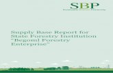 Supply Base Report for State Forestry Institution “Begoml ... · Focusing on sustainable sourcing solutions Page 1 1 Overview Producer name: State Forestry Institution “Begoml