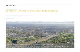 Bristol City Council Bristol Avon Flood Strategy · Strategy throughout this document. 1.1 Strategy objectives The key investment objectives for the Strategy have been set to reflect