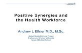 Positive Synergies and the Health Workforce...Emerging Themes Potential Synergies: • Strategic top-ups, QOL incentives, infrastructure improvements • Building capacity through