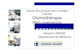 Cancer Bronchique Non à Petites Cellules Chimiothérapie Péri …splf.fr/wp-content/uploads/2014/12/BesseBGOLF09.pdf · 2015. 1. 15. · MINEO 14/33 21/33 PARK 17/59 23/59 ALPI