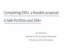 Completing EMU, a feasible proposal: a safe portfolio and SRB+ · 2020. 1. 21. · My proposal: The Safe Portfolio Approach (continued) The distance metric Illustration (1) (2) Diabolic