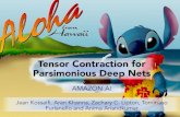 Tensor Contraction for Parsimonious Deep Netstensorlab.cms.caltech.edu/users/...presentation.pdf · •Potential space savings •Performance improvement. Tensor Contraction •Tensor