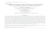 Original articles Angioimmunoblastic T-Cell Lymphoma: an … · 2020. 5. 28. · Angioimmunoblastic T-Cell Lymphoma: an Epstein-Barr Virus-Associated, Bilineage Lymphoid Neoplasm