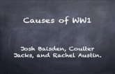 Causes of WW1 - Mr. Miller's World Studies · Causes of WW1 . Nationalism Nationalism is the love of one's country. It's also described as being a strong supporter of the rights and