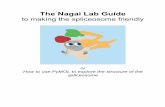 The Nagai Lab Guide · For example, let’s look at the interactions between the 3’ splice site AG dinucleotide of the intron and the branchpoint. These only involve the intron