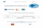 D1.2.1 Stakeholder Assessment Reportadricosm-intermediate.cmcc.it/Deliverables/ADRICOSM-INTERMEDIA… · Adricosm – Intermediate Project D1.2.1 Version: V9 1 July 2012 2 Document
