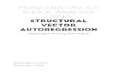 Monetary Policy Shock Analysis Using Structural Vector ... Policy Shock Analysi… · lationship between monetary policy and stock prices. These have provided some evidence to justify