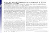 A role for the TGF -Par6 polarity pathway in breast cancer ... · cancer progression (7, 8). However, the role of Par6-mediated signaling in cancer progression has not been well-defined.