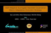 Self-Adaptive Surrogate-Assisted Covariance Matrix ...loshchilov.com/publications/GECCO2012_slides.pdfBBOB – Black-Box Optimization Benchmarking ACM-GECCO workshop, in 2009, 2010
