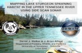 Lake Sturgeon Reintroduction into the Upper Tennessee ...aggregation, focus any future reef construction efforts where fish arrive first Walker, D.J. and J.B. Alford. 2016. Mapping