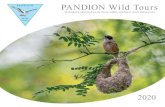 PANDION Wild Tours 2020/br… · New Zealand, South Africa, USA, Canada and Japan. We are the oldest and most experienced company for wildlife touring in Bulgaria. Bulgaria is a little