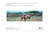 Biocultural Community Protocol of the Camel Breeders of ... · Camel Breeders of Rajasthan Sadri, 2 November, 2017 Drafted by Lokhit Pashu-Palak Sansthan eMail: lpps.sadri1996@gmail.com