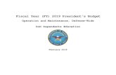 Fiscal Year (FY) 2019 President's Budget · 2018. 3. 9. · DoD Dependents Education Operation and Maintenance, Defense-Wide Fiscal Year (FY) 2019 President’s Budget I. Description