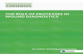 THE ROLE OF PROTEASES IN WOUND DIAGNOSTICSgneaupp.info/wp-content/uploads/2014/12/The-Role-of...wounds, however, not only do proteases reach higher levels than in healing wounds, but