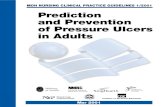 Prediction and Prevention of Pressure Ulcers in Adults€¦ · associated with Stage IV pressure ulcers. NB: When eschar is present, accurate staging of pressure ulcer is not possible