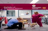 Bachelor of Veterinary Science - JCU Australia · 2020. 5. 13. · Bachelor of Veterinary Science. Develop strong and applicable practical skills as you learn in dedicated and high-tech