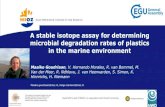 A stable isotope assay for determining microbial degradation … · 2020. 5. 4. · Isotopically labelled plastic – A potentially more accurate and direct method for testing plastic