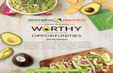 2019/2020 - Avocados From Mexico...Consumer Text-to-Win Sweepstakes Digital/Social Media Activation Retail Specific Programming BIG GAME GUAC SMALL BIN WITH HEADER, TABASCO® SAUCE
