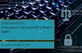 Apresentação do PowerPointespanha-brasil.org/img/documentos/PatriciaPeck_Seminario... · 2018. 12. 9. · ¿En qué estado se encuentran las leyes de protección en Latinoamérica?