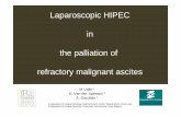 Laparoscopic HIPEC in the palliation of refractory ...peritonealworkshop2008.com/docs/19_van_der_speeten.pdf · • Peritoneo-venous shunts. Malignant ascites : pathofysiology Tamsma