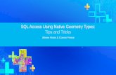 SQL Access Using Native Geometry Types: Tips and Tricks€¦ · Target Audience •Intermediate ... •ST_Geometry is a spatial type that stores geometry data in a single spatial