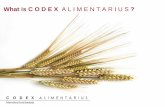 What is C O D E X A L I M E N T A R I U S - UNECE...International Food Standards A reference in the WTO SPS agreement WTO SPS defines International standards, guidelines and recommendations: