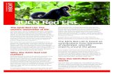 IUCN Red List Photo: Yadira Giler - Synchronicity Earth · Photo: Yadira Giler. INSIGHT: IUCN Red List The majority of assessments published on the IUCN Red List are carried out by