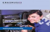 Erasmus+ Apprentice Work Placements€¦ · Diana Farrelly, Southern Regional College Colleges Wales represents all of the further education colleges in Wales. Sian Holleran co-ordinates