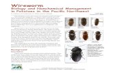 Wireworm biology and nonchemical management in potatoes …...Surveys of these exotic wireworm pests by the Washington State Department of Agriculture in 2000, 2004, and 2005 found